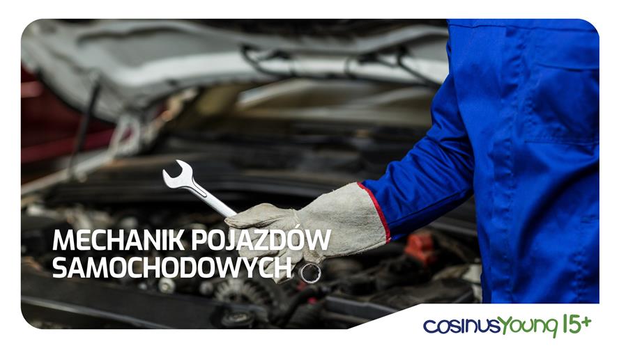 Fascynują Cię samochody i chcesz wiedzieć, jak działają silniki?