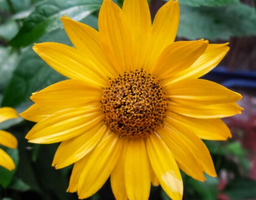 test