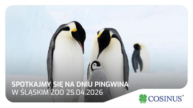 DZIEŃ PINGWINA Z COSINUS BYTOM!