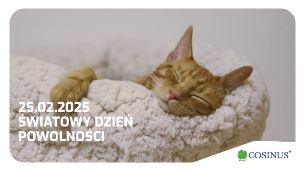 Światowy Dzień Powolności!