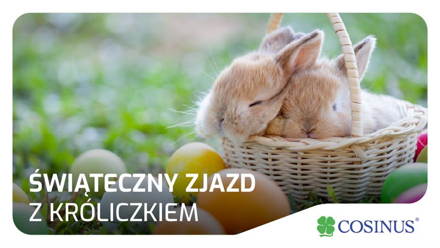 ŚWIĄTECZNY ZJAZD Z KRÓLICZKIEM JUŻ 28.03.2026
