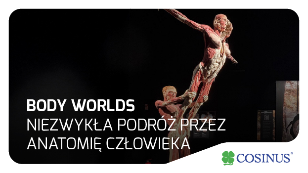 Wystawa Body Worlds