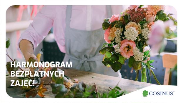 Harmonogram bezpłatnych zajęć!