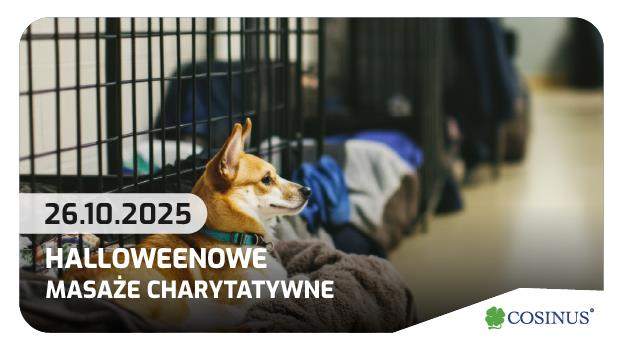 Zrób coś dobrego i zrelaksuj się! Cosinus Gdynia zaprasza na charytatywne masaże.